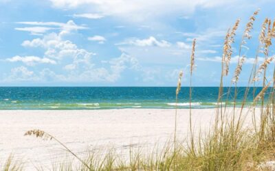 Why Northeast Florida Keeps Growing: The Lifestyle and Value Driving Relocation Trends